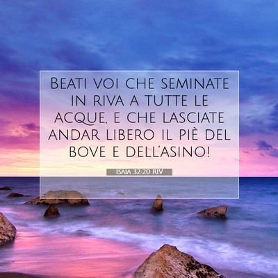 Isaia 32:20 RIV Immagine del Versetto della Bibbia