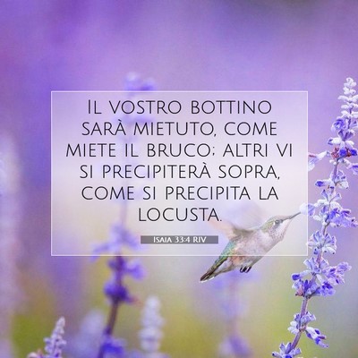Isaia 33:4 RIV Immagine del Versetto della Bibbia