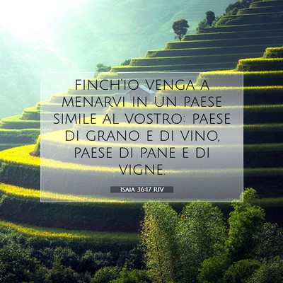 Isaia 36:17 Versetto della Bibbia Spiegato