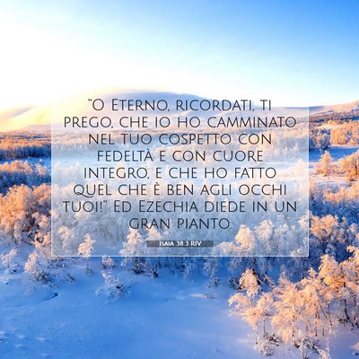 Isaia 38:3 RIV Immagine del Versetto della Bibbia