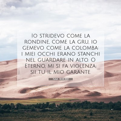 Isaia 38:14 RIV Immagine del Versetto della Bibbia