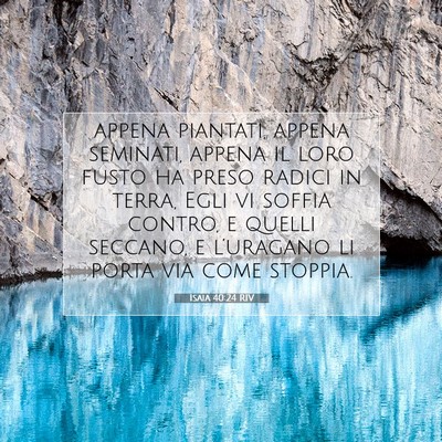 Isaia 40:24 Versetto della Bibbia Spiegato