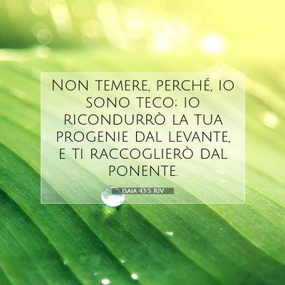 Isaia 43:5 RIV Immagine del Versetto della Bibbia