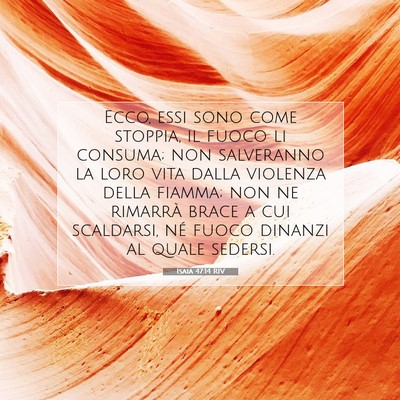 Isaia 47:14 RIV Immagine del Versetto della Bibbia