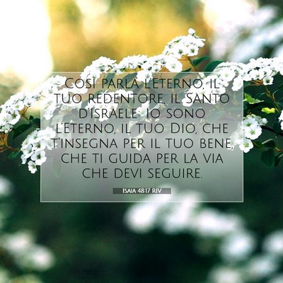 Isaia 48:17 RIV Immagine del Versetto della Bibbia