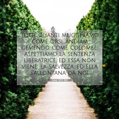 Isaia 59:11 RIV Immagine del Versetto della Bibbia