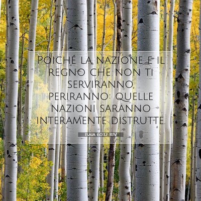 Isaia 60:12 RIV Immagine del Versetto della Bibbia