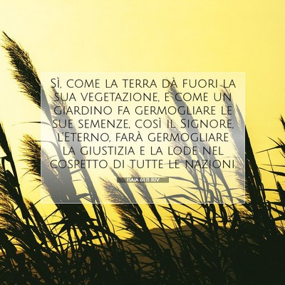 Isaia 61:11 RIV Immagine del Versetto della Bibbia