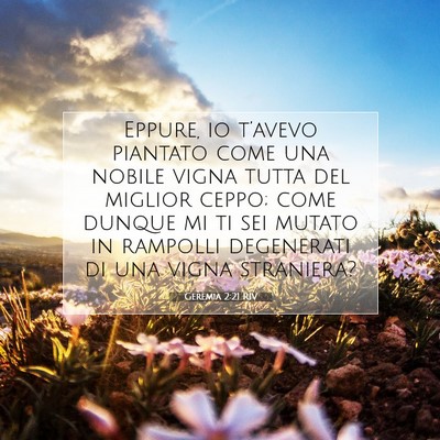 Geremia 2:21 RIV Immagine del Versetto della Bibbia