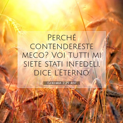 Geremia 2:29 Versetto della Bibbia Spiegato
