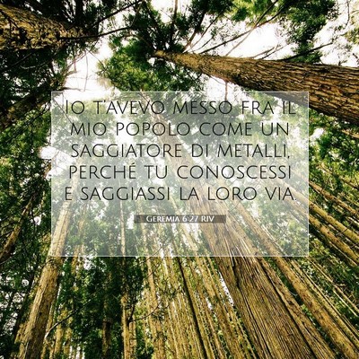 Geremia 6:27 Versetto della Bibbia Spiegato