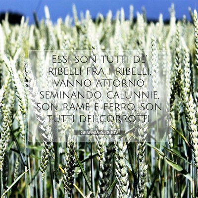 Geremia 6:28 RIV Immagine del Versetto della Bibbia