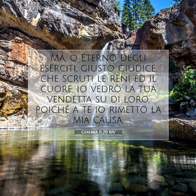 Geremia 11:20 RIV Immagine del Versetto della Bibbia