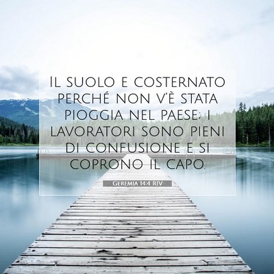 Geremia 14:4 RIV Immagine del Versetto della Bibbia