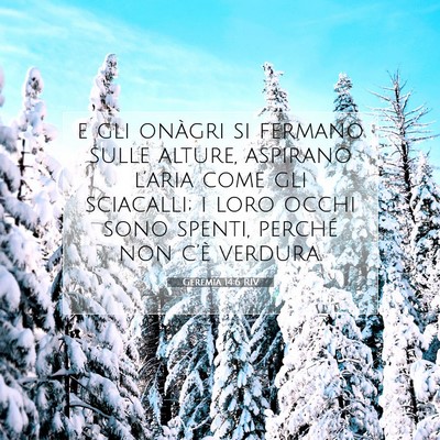 Geremia 14:6 Versetto della Bibbia Spiegato
