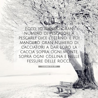 Geremia 16:16 RIV Immagine del Versetto della Bibbia