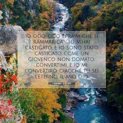 Geremia 31:18 RIV Immagine del Versetto della Bibbia