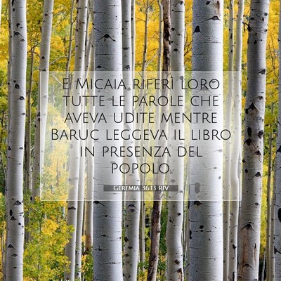 Geremia 36:13 Versetto della Bibbia Spiegato