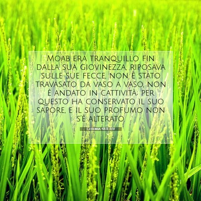 Geremia 48:11 RIV Immagine del Versetto della Bibbia