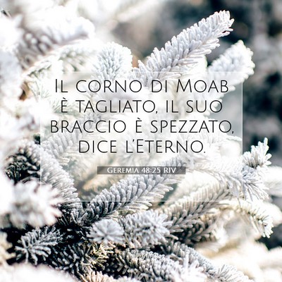 Geremia 48:25 Versetto della Bibbia Spiegato