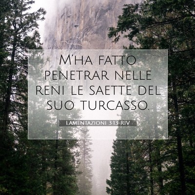 Lamentazioni 3:13 Versetto della Bibbia Spiegato