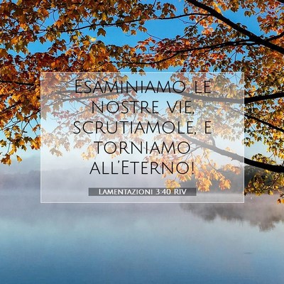 Lamentazioni 3:40 RIV Immagine del Versetto della Bibbia