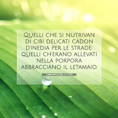 Lamentazioni 4:5 RIV Immagine del Versetto della Bibbia