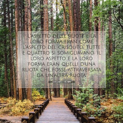 Ezechiele 1:16 Versetto della Bibbia Spiegato