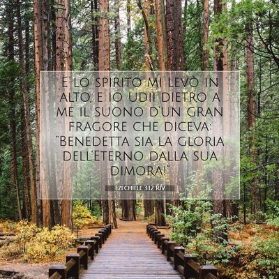 Ezechiele 3:12 RIV Immagine del Versetto della Bibbia