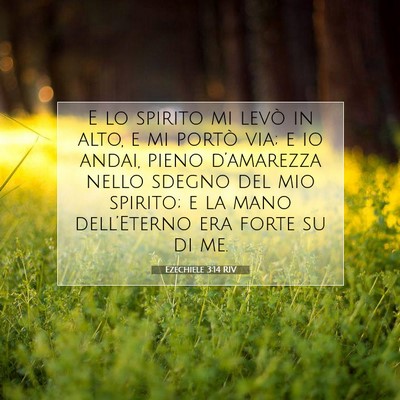 Ezechiele 3:14 RIV Immagine del Versetto della Bibbia