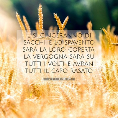 Ezechiele 7:18 RIV Immagine del Versetto della Bibbia