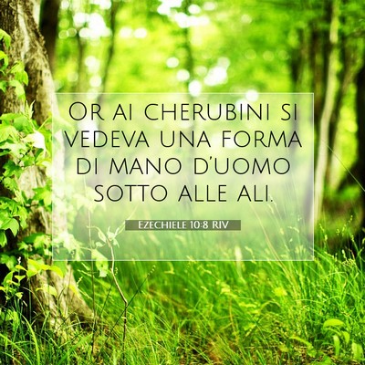 Ezechiele 10:8 Versetto della Bibbia Spiegato