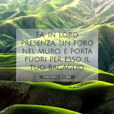 Ezechiele 12:5 Versetto della Bibbia Spiegato