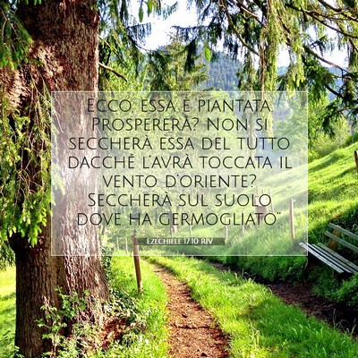 Ezechiele 17:10 RIV Immagine del Versetto della Bibbia