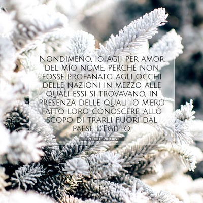 Ezechiele 20:9 Versetto della Bibbia Spiegato