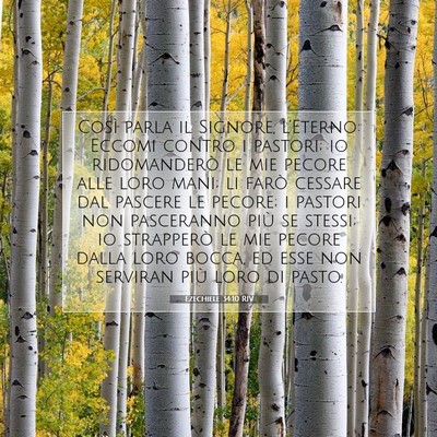 Ezechiele 34:10 RIV Immagine del Versetto della Bibbia