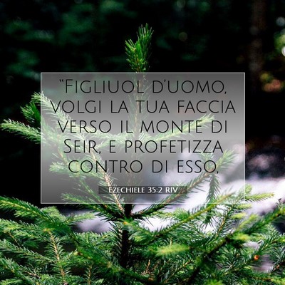 Ezechiele 35:2 Versetto della Bibbia Spiegato