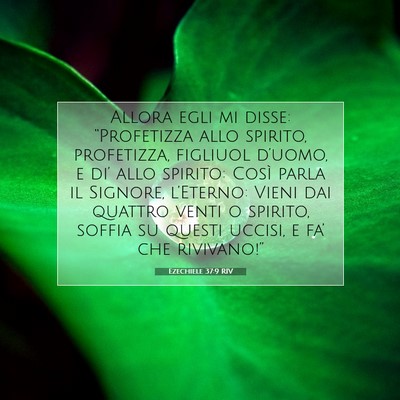 Ezechiele 37:9 RIV Immagine del Versetto della Bibbia