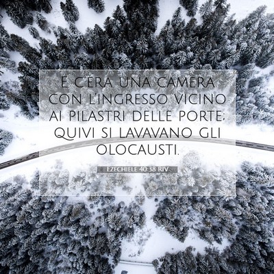Ezechiele 40:38 Versetto della Bibbia Spiegato