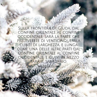 Ezechiele 48:8 Versetto della Bibbia Spiegato
