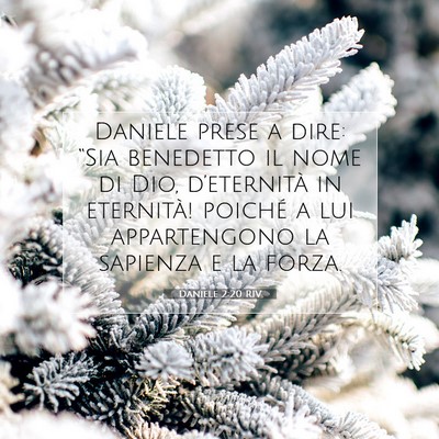 Daniele 2:20 RIV Immagine del Versetto della Bibbia