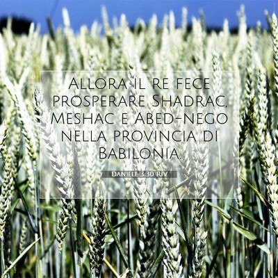 Daniele 3:30 RIV Immagine del Versetto della Bibbia