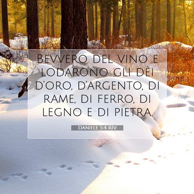 Daniele 5:4 RIV Immagine del Versetto della Bibbia