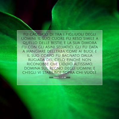 Daniele 5:21 RIV Immagine del Versetto della Bibbia