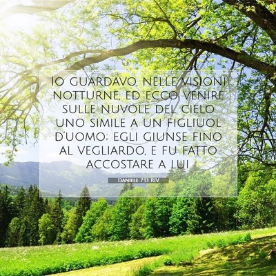 Daniele 7:13 RIV Immagine del Versetto della Bibbia
