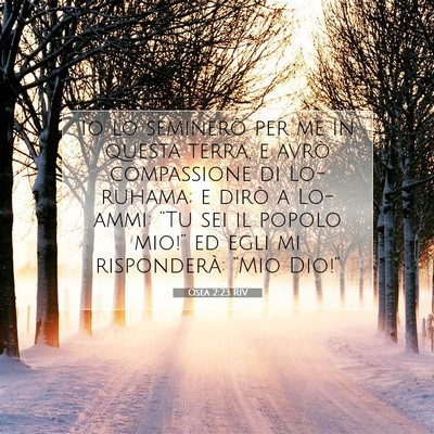 Osea 2:23 RIV Immagine del Versetto della Bibbia