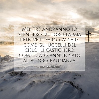 Osea 7:12 RIV Immagine del Versetto della Bibbia