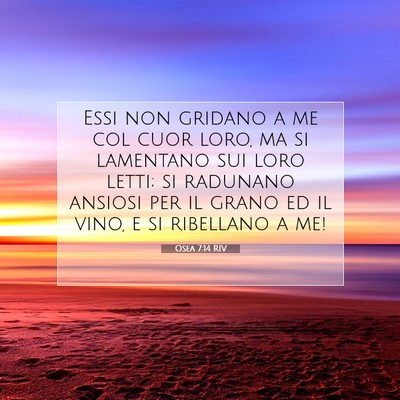 Osea 7:14 RIV Immagine del Versetto della Bibbia