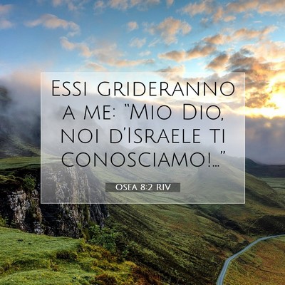 Osea 8:2 Versetto della Bibbia Spiegato