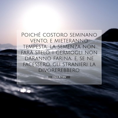 Osea 8:7 RIV Immagine del Versetto della Bibbia